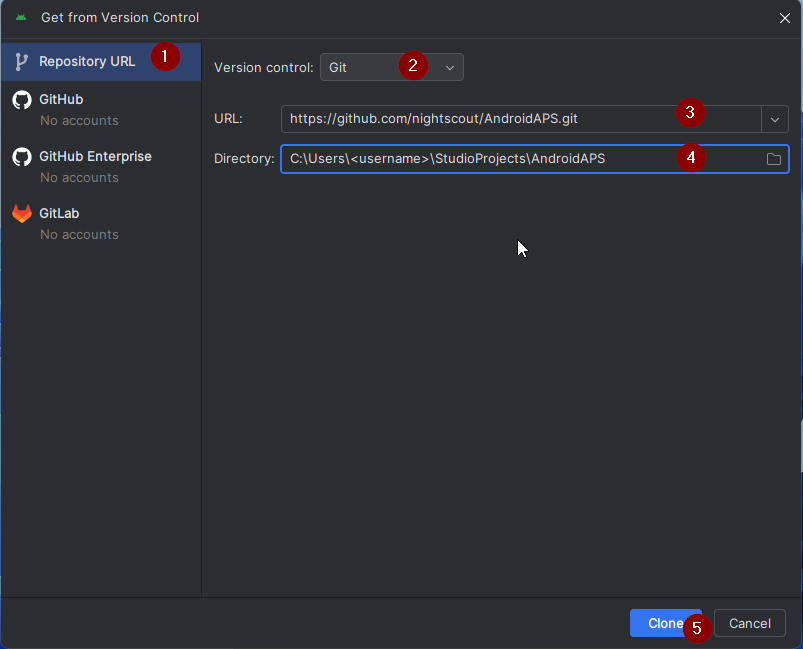 Get from Version Control
