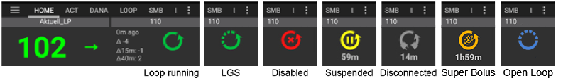 Loop status