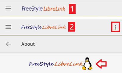 Comprobación de fuentes de LibreLink