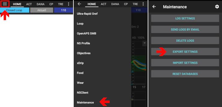 AAPS export settings 1