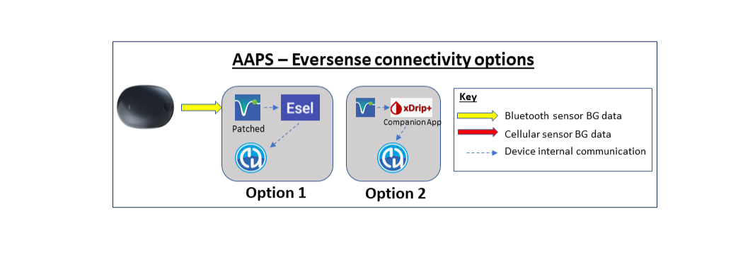 eversense_options