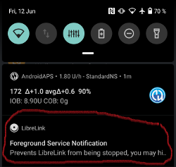 LibreLink Ön Plan Hizmeti