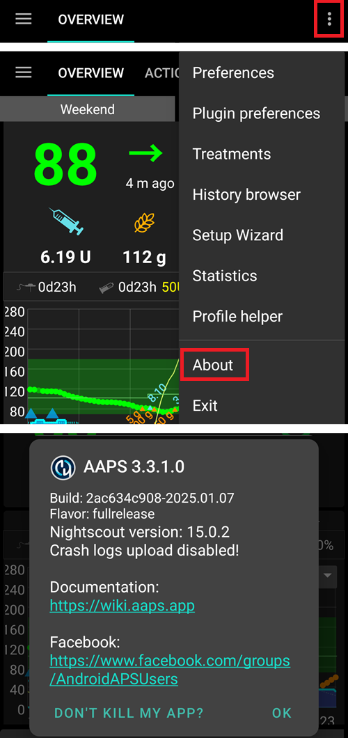 已安装的 AAPS 版本