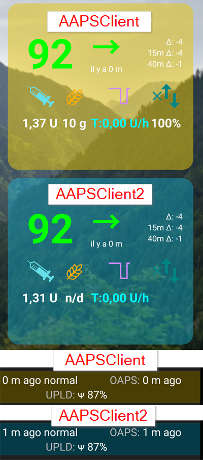 AAPSClient_and_AAPSClient2.png