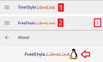 LibreLink 字體檢查